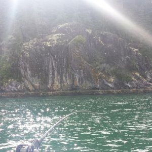 The \"Wall\", site of the hot spot on our last morning of fishing