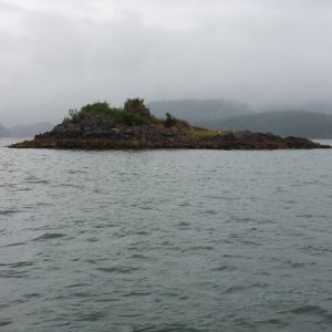 Media 'Camel Rock, the site of our day one massacre' in album 'A boxful of "Springs".  First day 4 fish before check-in at Critter Cove!'