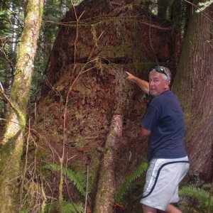 More board cuts on the trail from Phil Lavigne's Laura Cove to Mike Shuttler's Melanie Cove.  (read "Curve of Time").