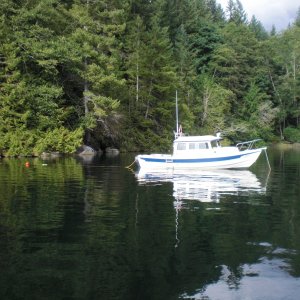 Media 'Laura Cove.' in album 'Majestic Desolation Sound.'