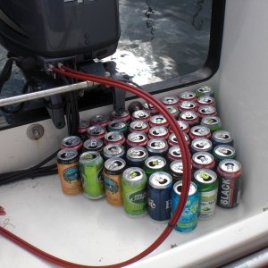 Media 'Well it was a hot day!' in album 'Majestic Desolation Sound.'
