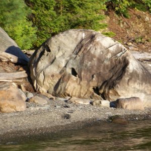 An alien face turned into stone.