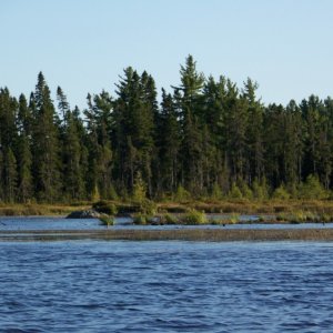 Perfect moose habitat but alas, no moose were seen on this trip.