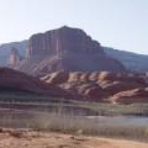 Oak Canyon