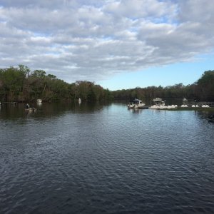 115DeLeonSprings
