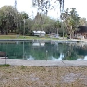 De Leon Springs pool (where spring is)