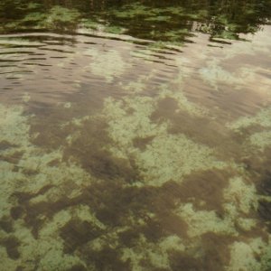 Clear water!