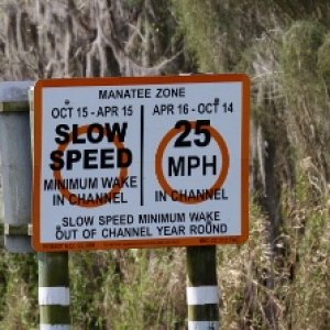 talk about confusing speed signs!