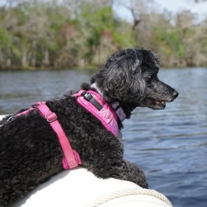 Angel loves bird watching!