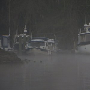 The medical boat in the morning fog. This is the C-Otter. Poor Tom was sick for the gathering.