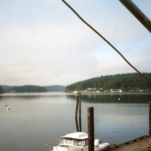 8 June 2003: At Decatur Island.