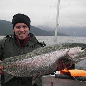 Kootenay Lake Gerrard Rainbow 20 lbs.