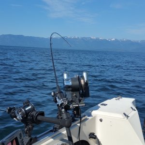 Media 'Fishing Pend Oreille Lake' in album 'Kootenay Gerrard Rainbow 27 lbs.'