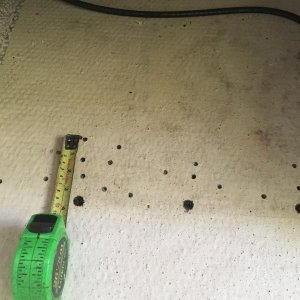 fullsizeoutput 29ff