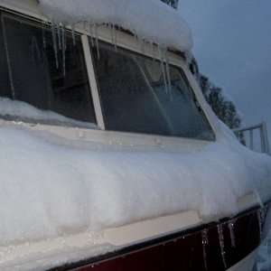 Daydream in Driveway 1-20-12
