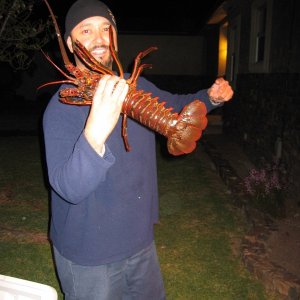 Capt'n gets the big bug and the odd one!!