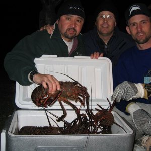 Had 4 people on boat and caught limits in 2 hours!!Epic 1st season !!