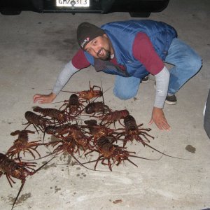 Me... Andy the Skipper of Neeanda!!" let's put another bug on the barbie, and pour a little heineken on em!" 
Cheer's BrAT'S!!