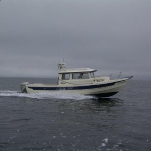 smooth seas