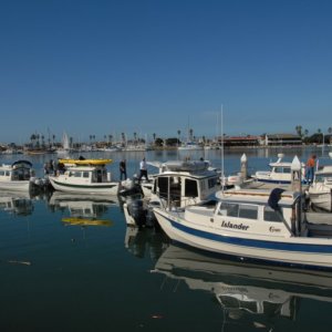 Islander010
Waiting to depart from Channel Islands Marina to Santa Barbara