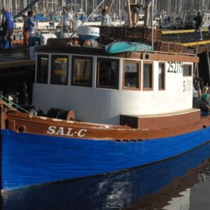 Islander100