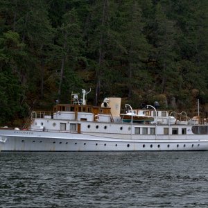 Vintage yacht in Maple Bay. Taconite, 125' 1930 yacht commissioned by the Boeing family.
