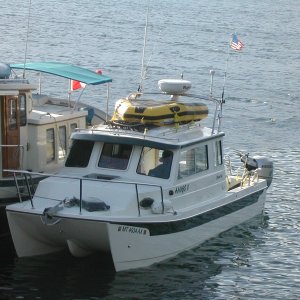 Media 'Amigo II at Port Neville, BC' in album 'Amigo II at Port Neville, BC'