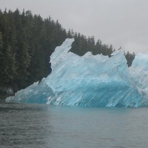 Media 'Tracy Bay, South of Juneau, AK  Much Better than Glaicer Bay' in album 'Amigo II at Port Neville, BC'