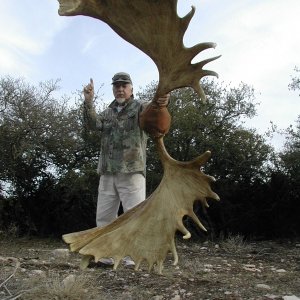 Media 'Gary with World Record Moose Horns, Taken at Wildman Lake Lodge, AK' in album 'Amigo II at Port Neville, BC'