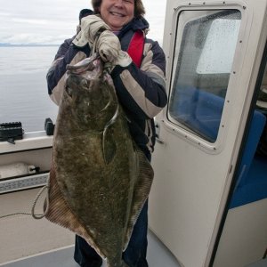 45 lb Halibut 31-36 Bank