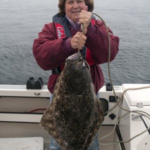 Swiftsure Halibut