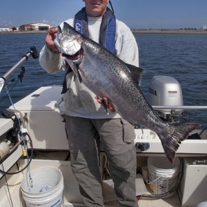 Media 'First King Salmon 21 lbs.' in album 'Spot Shrimp Discovery Bay'