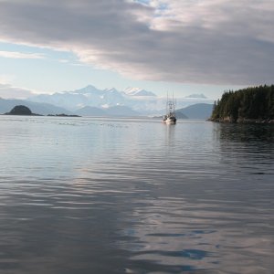 Media 'View from the dock at Elfin Cove, Alaska' in album 'C-Alaska June 26, 05'