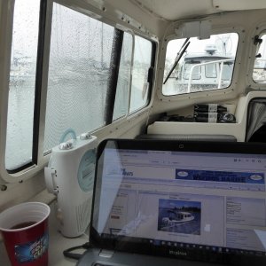 Waiting out the rain in the warm and dry cabin on a Saturday morning