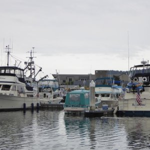 Tollycraft rendezvous at Anacortes visitor dock. Counted 24 Tollys on a rainy Saturday.