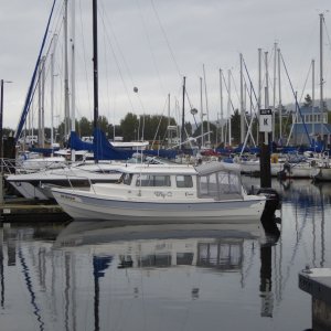 Moored in another section of the marina since the usual visitor spots were filled up with Tollys.
