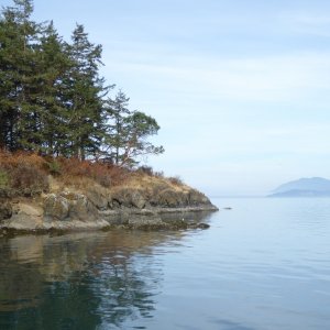 Saddlebag Island