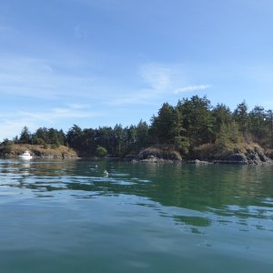 Saddlebag Island