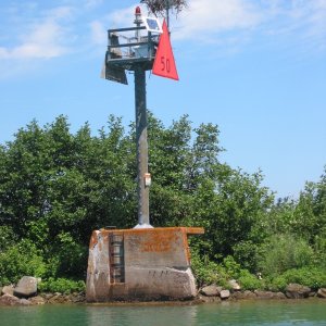 Osprey nest