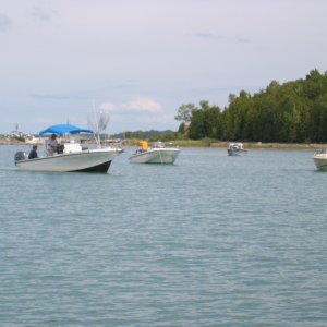 Lime Island Herring fishing fleet. Lots of boats, a few fish, but more than enough for a great on the boat fish fry.