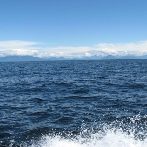 Media 'cruising Georgia Strait at 15 knots' in album 'entering Silva Bay from south narrow cut'