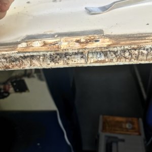 Media 'Close up' in album 'Wet balsa at hinge locations'
