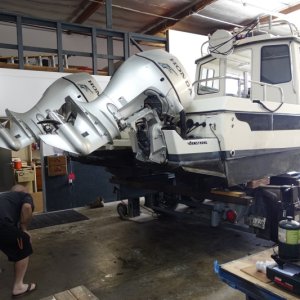DSC1110