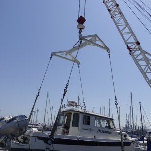 DSC1270