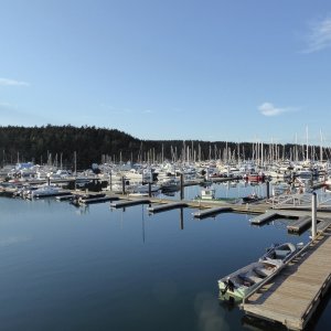 Friday Harbor May 20th