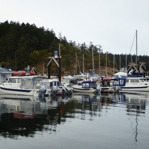 Media 'Some of the C-Brats at Friday Harbor on May 21st' in album 'Launching at Cap Sante Marina in Anacortes Friday morning May 20th'