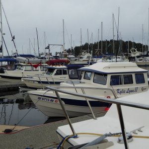 Media 'Some of the C-Brats at Friday Harbor on May 21st' in album 'Launching at Cap Sante Marina in Anacortes Friday morning May 20th'