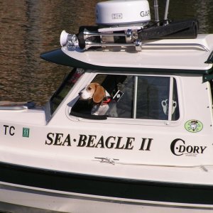 Media 'Oliver, one of the deckhands.' in album 'The family and I stopped at Larry K's slip.'