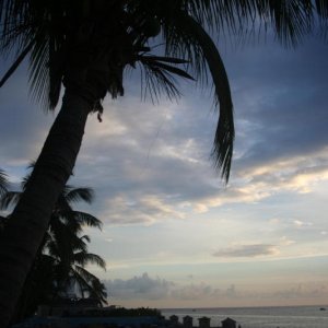 evening