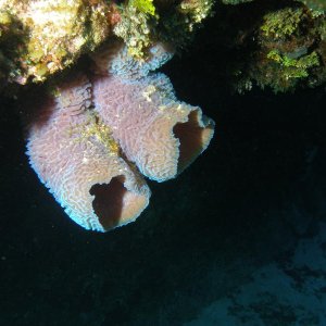 IMG 0094